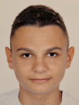 Tin Čulina